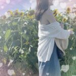 あすかです🌻