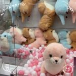 みらです🦦