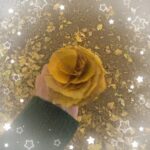 大切なお知らせ!🤍しあんです