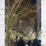 めるりです❗️