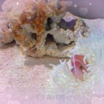 らみﾀﾞﾖ~🤍🤍