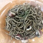 ねるです🐹🌟