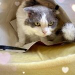 りりです❣️