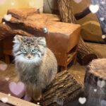 せいらだよ🧸🤍