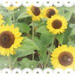 ゆうです🙇‍♀️