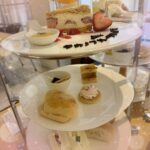 ぴこです🐥⸒⸒