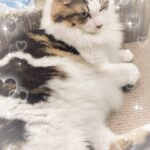 きなです🧸🤍