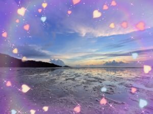 のるです🌈