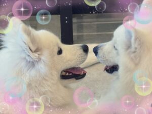 ぱとらです♡