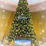 ゆうです🙇‍♀️