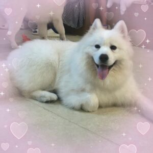 みんです🍎