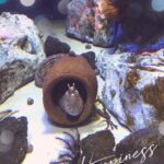 めるりです！🥰