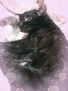 るんです！🥳