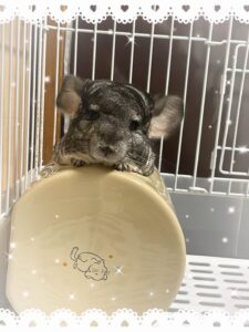 こんです🫣