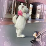 わんです🐶