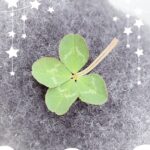 あやかです！🧶