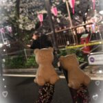 いとです🐈💕