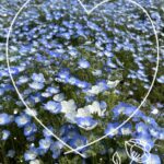 しんです💭🎶