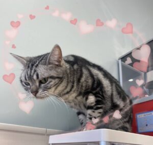 まゆゆです🎀