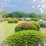 あきです🧸💕