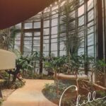 しんです💭🎶