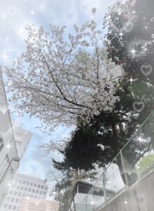 てぃーです🐥⸒⸒☀️
