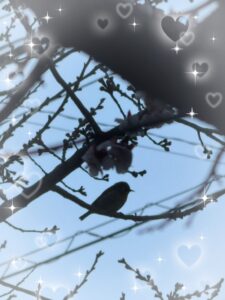 しずくでーす！🫶
