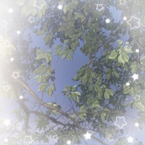 みつです🍯