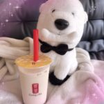 うらら到着したよ〜🐻❄️🔆