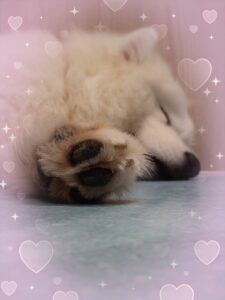 ひまちです💕
