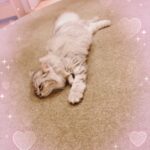 ゆきねです🤍