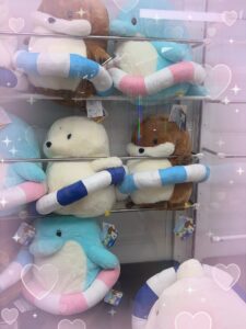 せいらだよ🧸🤍