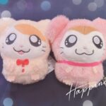 るみです🌟