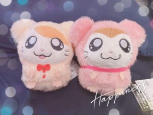 るみです🌟