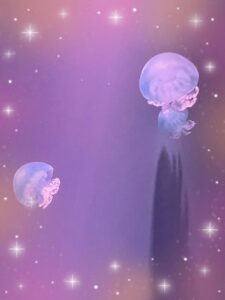 まろんです🌰