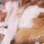 ありかです💞