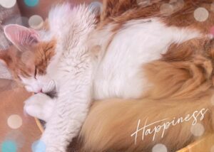 ありかです💞
