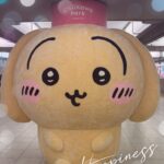 こんにちわ、てぃーです🐰♡