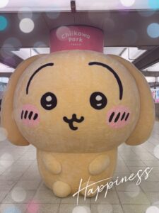こんにちわ、てぃーです🐰♡