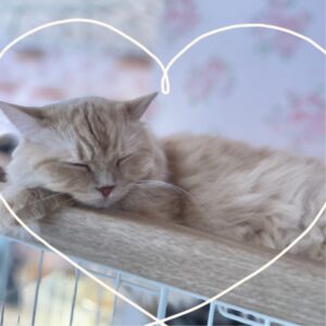 はね池袋つきました🥰