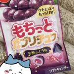 にゃんです🐱