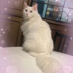 うなです❣️