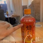 しきいます!