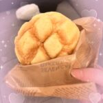 しぃちゃん池袋います(៸៸>⩊<៸`)