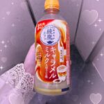 もみじ到着🍁