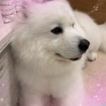 くららです!💙