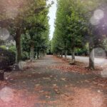 まりねです❣️