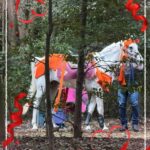 せいなです！💫