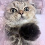 しお早めに到着しました!!