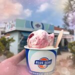 こんにちは🎀ねろです❕